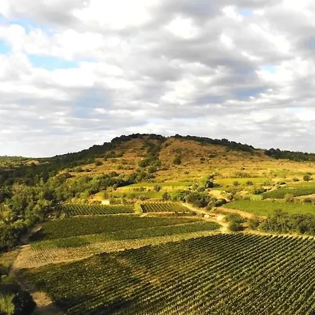 Holiday home Le Puech Fario