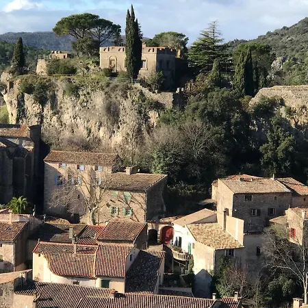 Le Puech Fario
